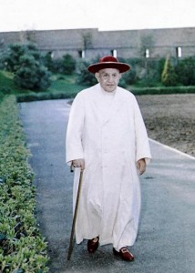 Paus Yohannes XXIII jalan kaki by Daily News