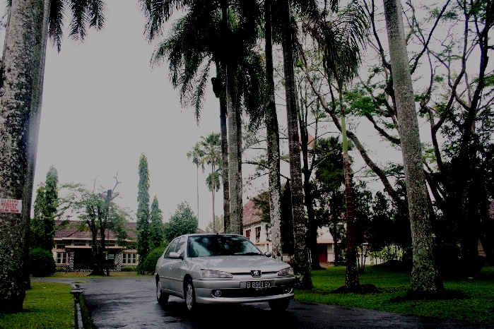 seminari-mertoyudan-halaman-depan