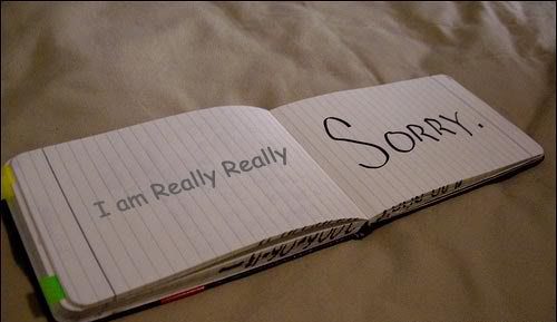 sorry-comments-43 by files wp