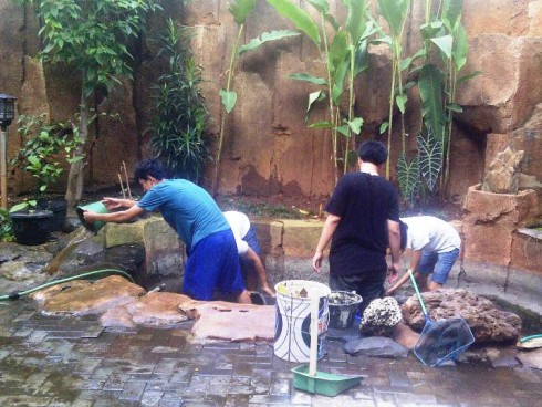 Kebon Dalem OMK kuras kolam