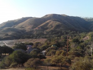 Rinca, adalah sebuah pulau yang terletak di Kepulauan Nusa Tenggara. Pulau Rinca beserta Pulau Komodo dan Pulau Padar merupakan kawasan Taman Nasional Komodo yang dikelola oleh Pemerintah Pusat/ Foto: Retno Wulandari (Sesawi.Net)