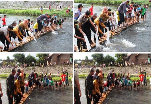 gubernur tebar bibit ikan di kali ujung wedi ok