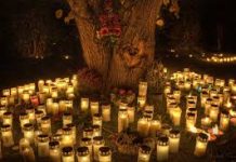 2 November 2025: Mazmur Misa Minggu Peringatan Arwah Semua Orang Beriman