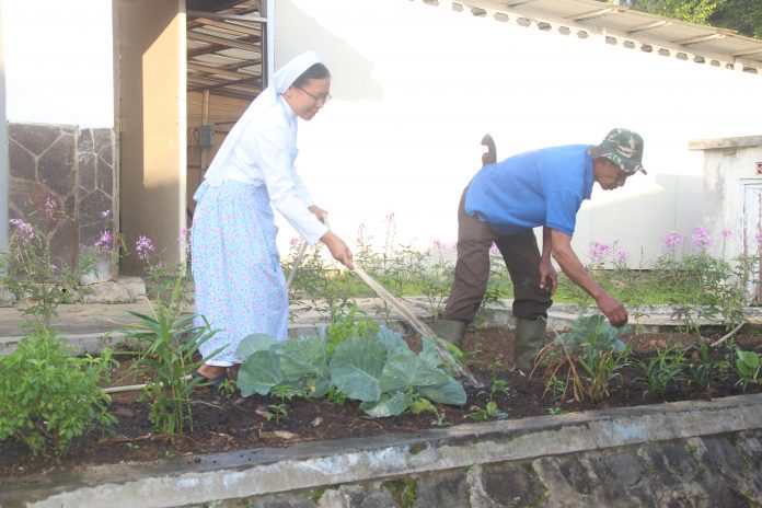 Suster dan karyawan bekerja di bagian rumah tangga dengan membersihkan halaman dan biara. (Sr. Fransiska FSGM)
