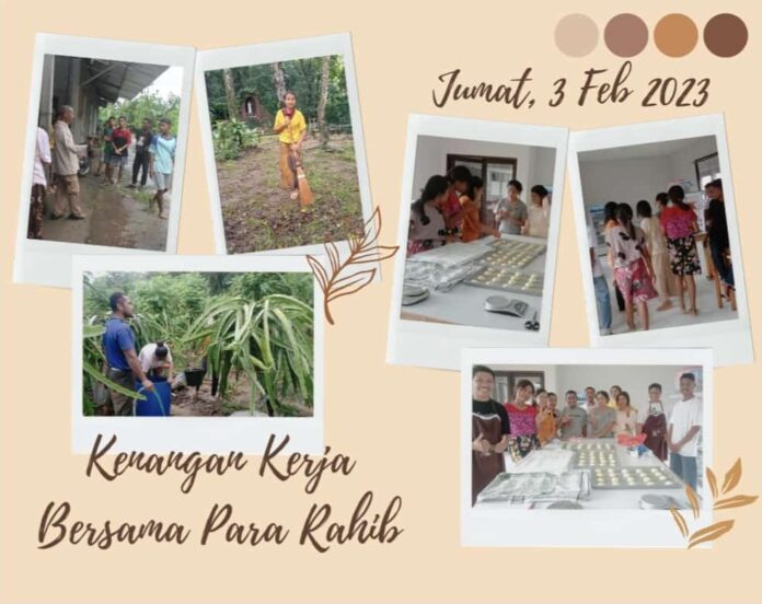 Kenangan pengalaman kerja bareng bersama para rahib Trappist di Pertapaan Trappist Lamanabi, Flores. (OCSO)