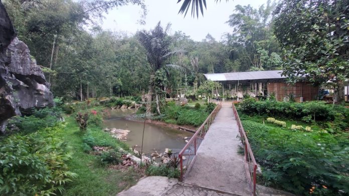 Pesona keindahan alam yang natural diwarnai oleh hijaunya pepohonan, bebatuan karst dan suara aneka binatang khas hutan menjadi daya tarik tersendiri di Pusat Ziarah Keluarga Kudus Nazaret