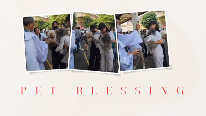 Pet Blessing sebagai tradisi memberkati aneka hewan peliharaan yang dipraktikkan para Fransiskan. (Dok. Bu Ve)