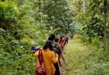 Sinta Pejalan Kaki