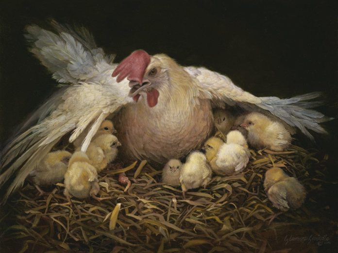 Aku akan mengumpulkan kamu, by Liz Lemon Swindle