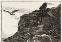 Lectio Divina 6.11.2025 – Satu Bertobat, Surga Bersukacita