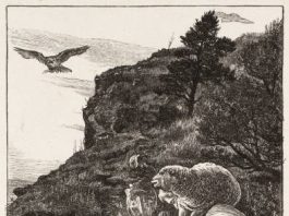 Lectio Divina 6.11.2025 – Satu Bertobat, Surga Bersukacita