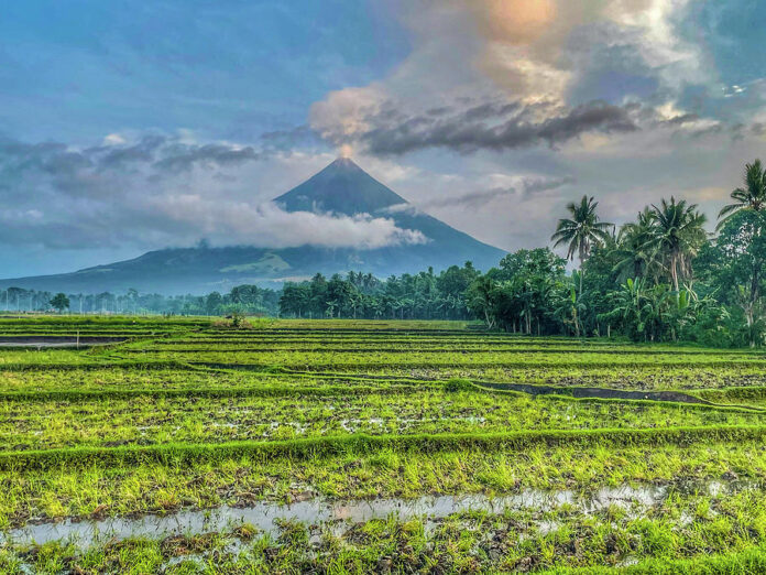 Tanah yang subur, photo by Bill Rogers