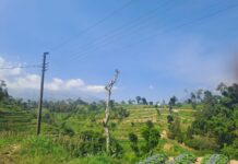 Mengitari Gunung Telomoyo dan Rawapening